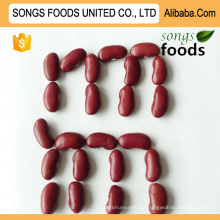 Heilongjiang Best Quality Dark Red Kidney Beans